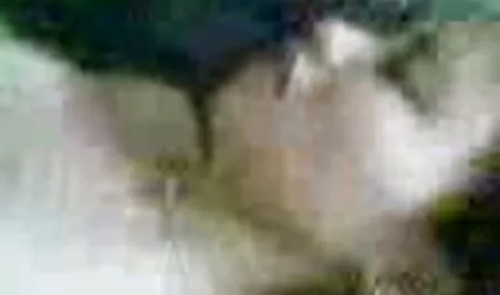 Cô gái tóc vàng hung ác đã bỏ phim sec tinh cam hay mình trong thư viện