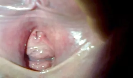 Cô phim sec hay hd ấy đầu tiên thời gian đít fucked